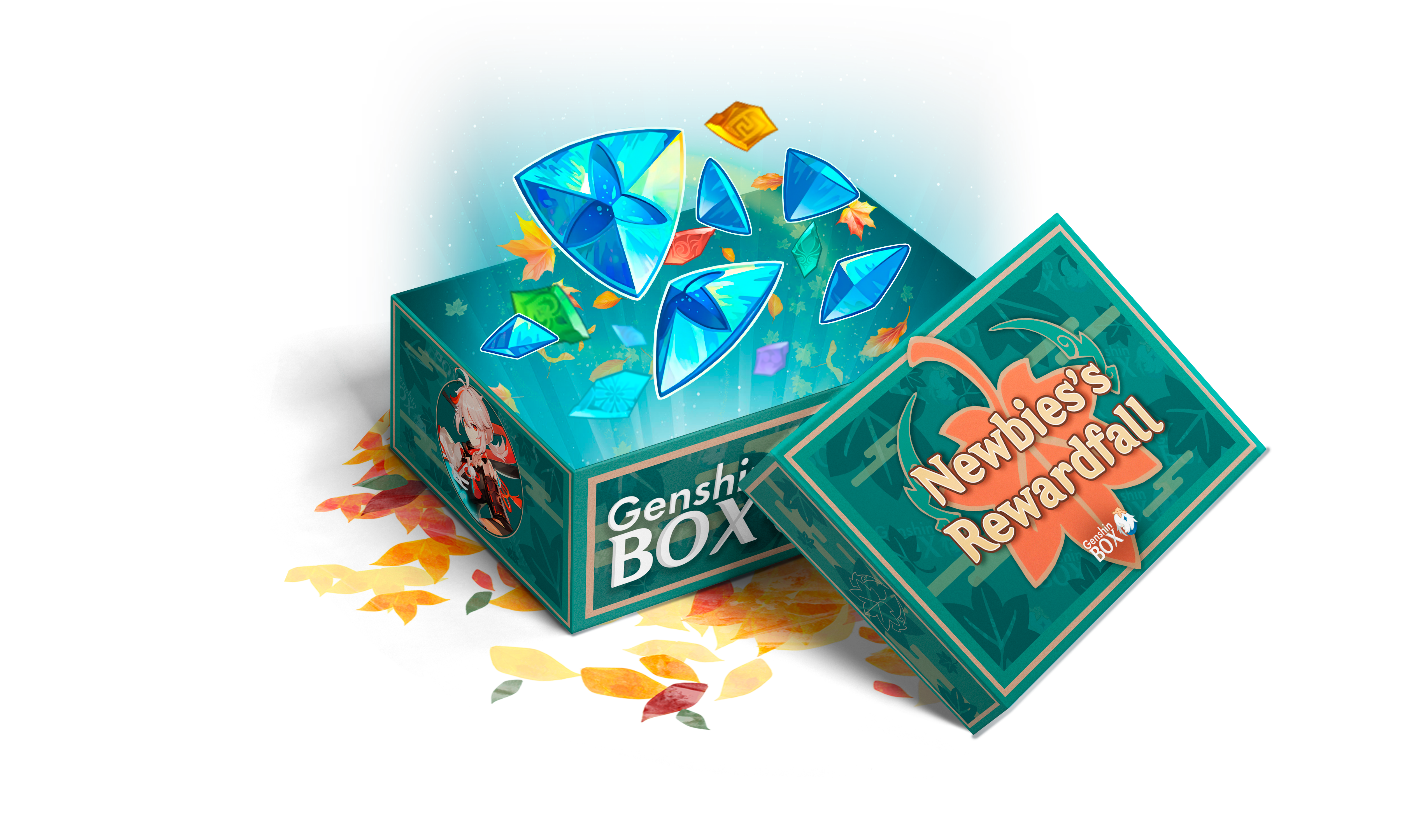 🍁 Newbie's Box box